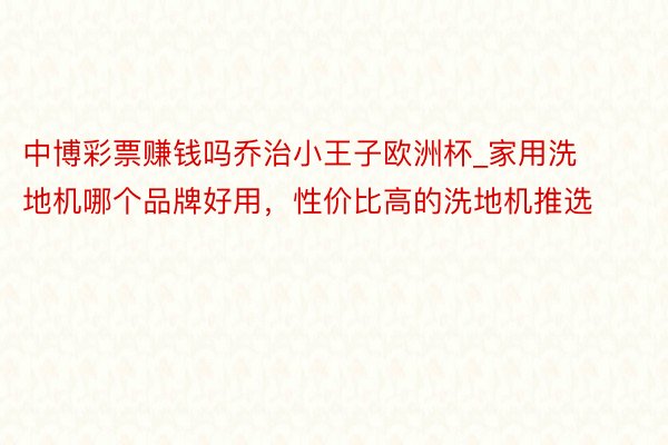 中博彩票赚钱吗乔治小王子欧洲杯_家用洗地机哪个品牌好用，性价比高的洗地机推选